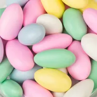Event Party Favors Holiday Wedding Birthday Jordan Almonds