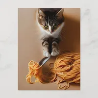Cat Eating Spaghetti Postcard