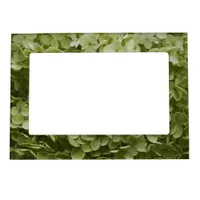 Annabelle Hydrangea  Magnetic Frame