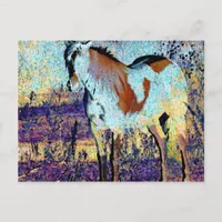 Pinto Horse Digital Art Postcard
