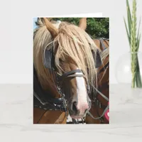 Beautiful Belgian Card