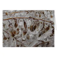 Ice Coating