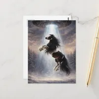 UFO picking up a Pinto Spotted Gypsy Vanner Horse Postcard