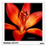 Red Orange Asiatic Lily Gran Paradiso Wall Decal