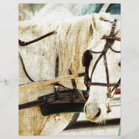 Gray Amish Buggy Horse