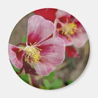 Pretty Flower Magnet