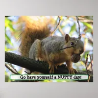 Have a Nutty Day, Cute Squirrel Humor Poster