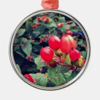 Red Metal Ornament