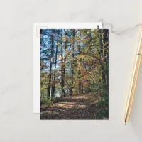 The Autumn Forest Path Postcard
