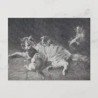 The Cat Family Postcard