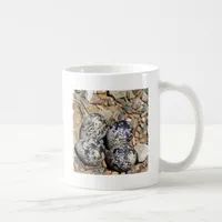KillDeer Nest With Eggs Coffee Mug