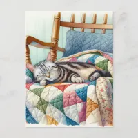 Sweet Gray Cat Sleeping on a Quilt Postcard