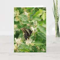 Butterfly Card