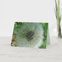 Dandelion Seeds Card