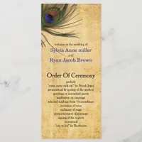 Rustic Peacock Feather wedding programs