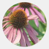 Coneflowers Classic Round Sticker