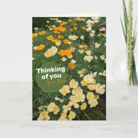 Yellow Orange Poppies Flower Card