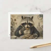 Raccoon Eating Cookies Vintage  Postcard