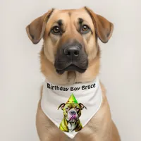 Birthday Boy Pitbull Personalized Pet Bandana Collar