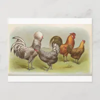 Silver Polish Postcard