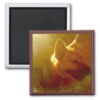 Shine On Me German Shepherd #1 Magnet