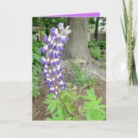 Purple Lupines Blank Card