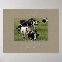 Dairy Cattle Poster