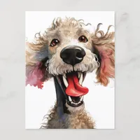 Funny Poodle Cartoon Postcard