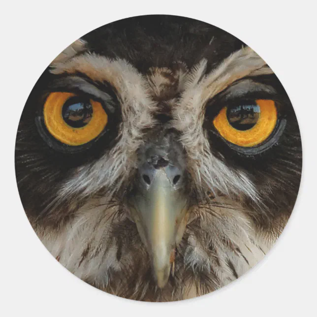 Mesmerizing Golden Eyes of a Spectacled Owl Classic Round Sticker