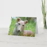 Vintage Corgi Card