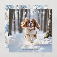 Cavalier King Charles Spaniel Dog Merry Christmas Holiday Card