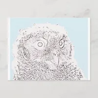 Postcard - Owlet to Color