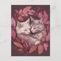 Beautiful Sleeping Cats Postcard