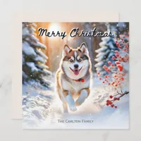 Cute Pomsky Dog In Snow Winter Merry Christmas Holiday Card