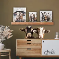 Cute Rainy Day Goats  Picture Ledge