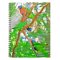 Colorful Loris on a branch - parrots  Notebook