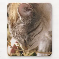 Stop and Smell the Flowers Pretty Cat Mouse Pad