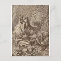 Fox With His Kill Postcard