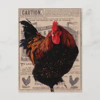 Baker's Special Poultry Postcard