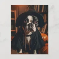 Boston Terrier Halloween Postcard