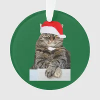 Christmas Cat Humbug Photo Circle Ornament