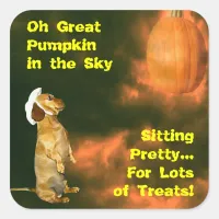 Sitting Pretty For Lots of Treats Square Sticker