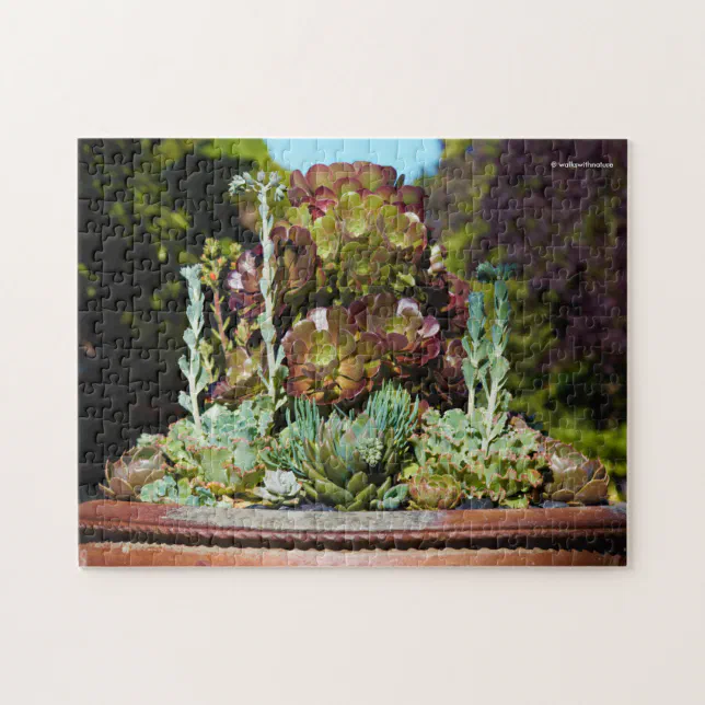 Various Succulents in Large Planter Jigsaw Puzzle