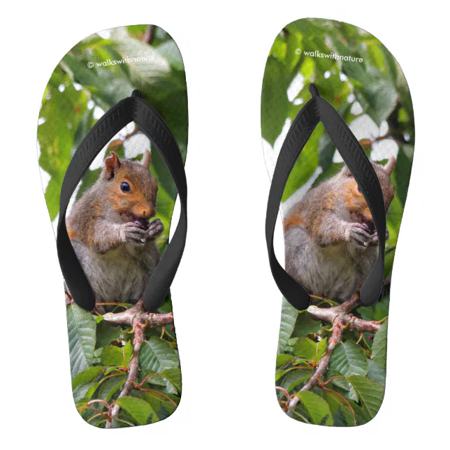 Cute Cherry Picking Eastern Grey Squirrel Flip Flops