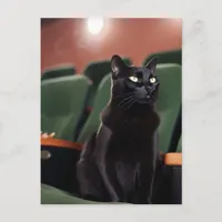 Black Cat in a Theater Postcard