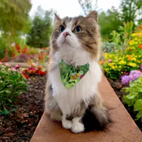 Watercolor Spring Flower & busy Bee Pet Bandana Collar