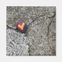 Heart Rock and Fossil Rock Magnet