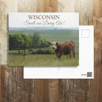 Midwest Photography | Beautiful Cow and Scenery Postcard