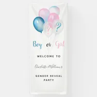 Gender reveal party boy girl blue pink white banner