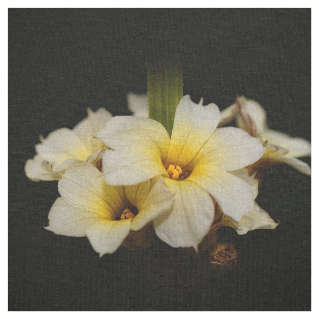 Elegant Satin Flowers on Black Fabric